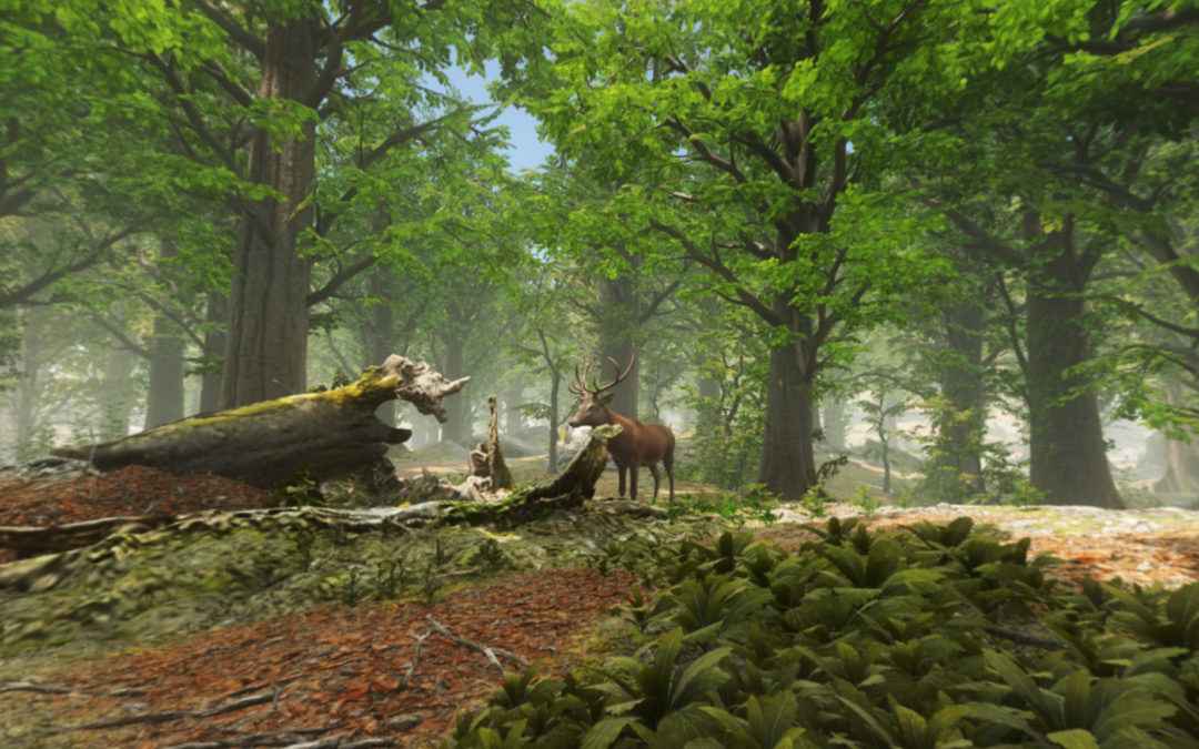 FAUNE ET FLORE DE L’ÎLE DE RÉ – Réalité Virtuelle