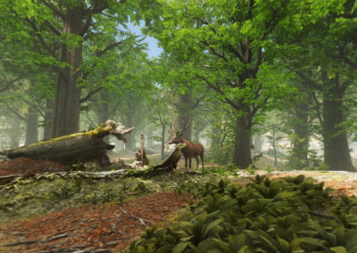 FAUNE ET FLORE DE L’ÎLE DE RÉ – Réalité Virtuelle